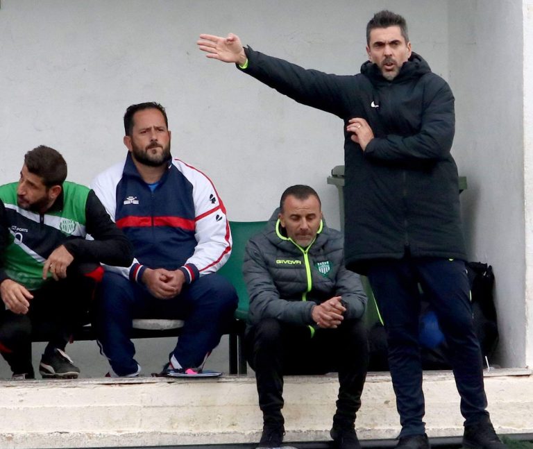 Μηνάς Πίτσος