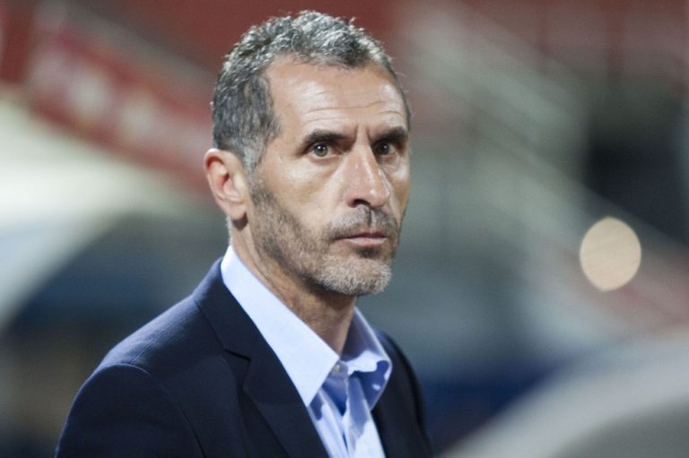 Σίνισα Γκόγκιτς